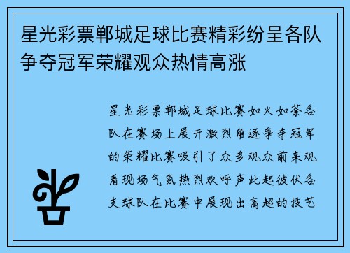 星光彩票郸城足球比赛精彩纷呈各队争夺冠军荣耀观众热情高涨