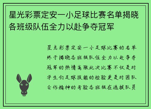 星光彩票定安一小足球比赛名单揭晓各班级队伍全力以赴争夺冠军